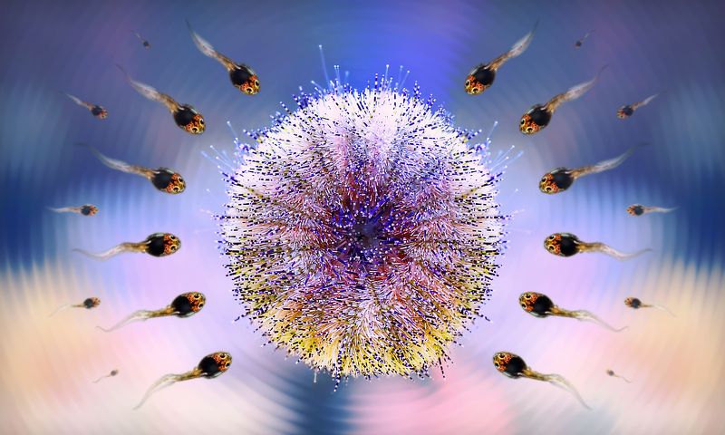 creative, креатив, манипуляция, концепция, сигнал, цифровое, искусство, digital, art, signal, eternal, call, waves Вечный зов... фото превью