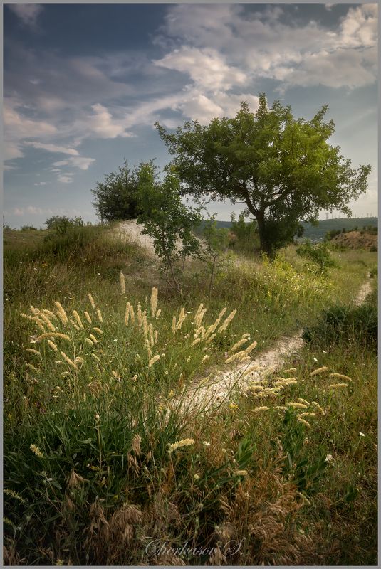 фото превью