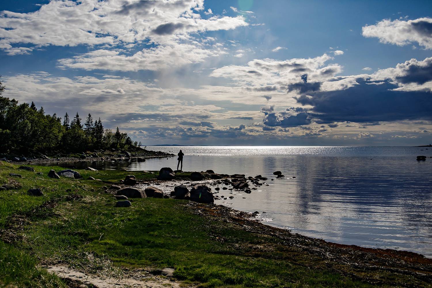 , Волынский Виктор