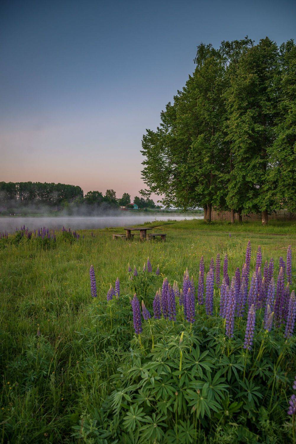 , Шуплецов Алексей