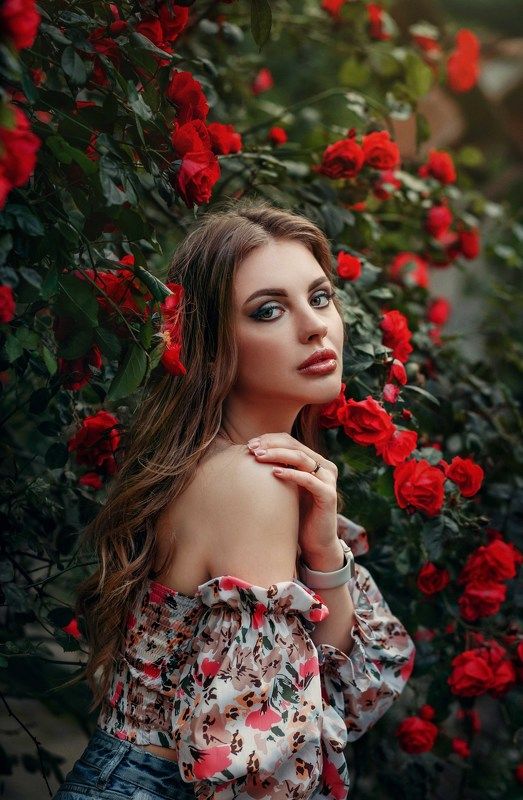 Розы фото превью