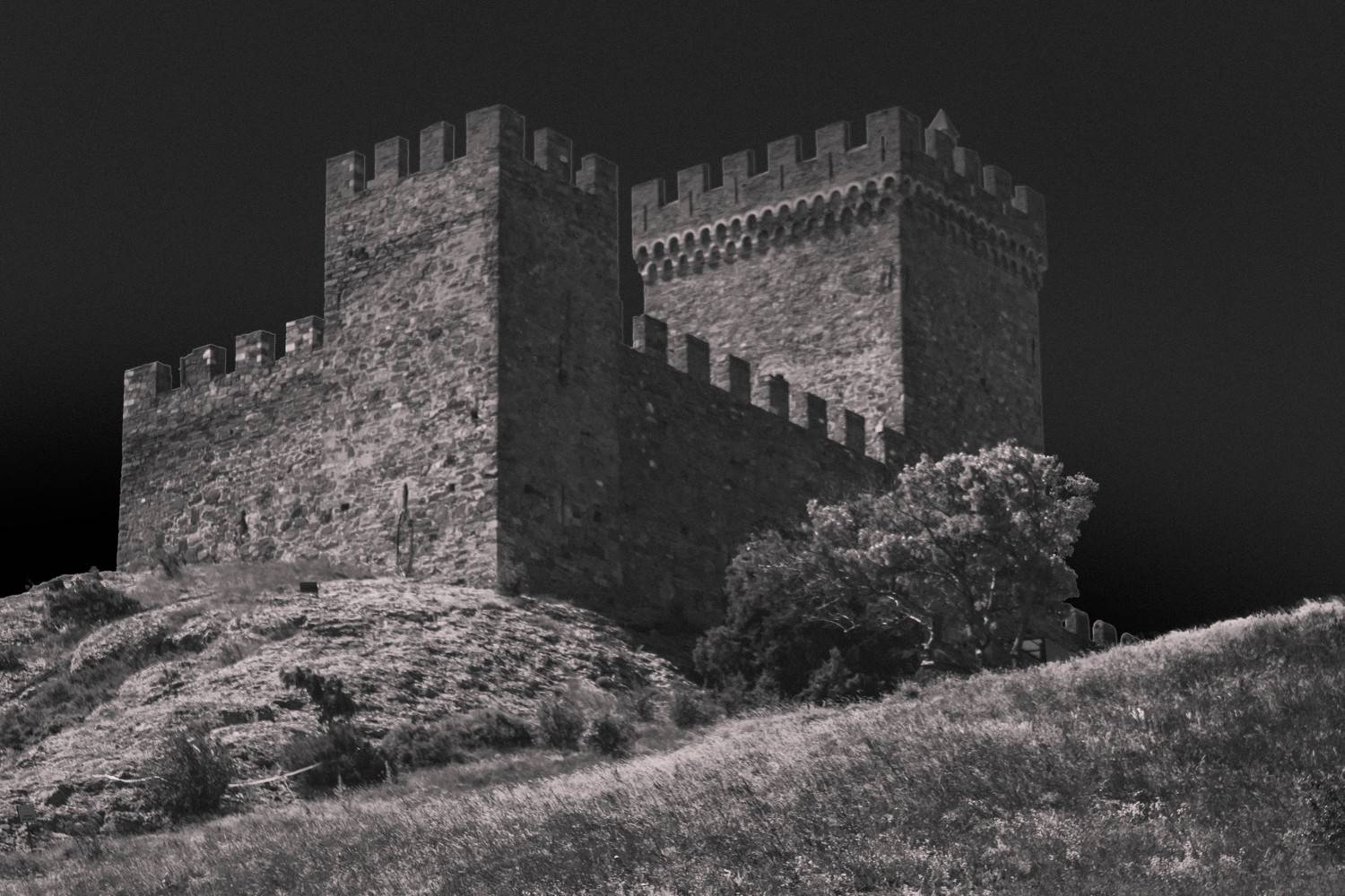 , Алексей Ильин