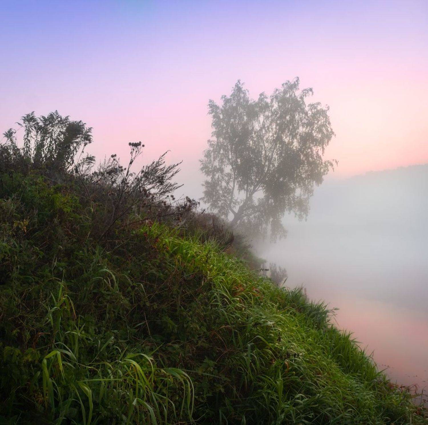 рассвет, туман, река, дерево,, Сергей Шабуневич