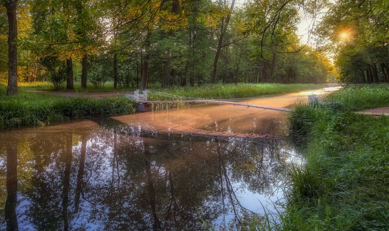 лето канал пруд солнце отражение деревья небо Каналы Царского Села фото превью