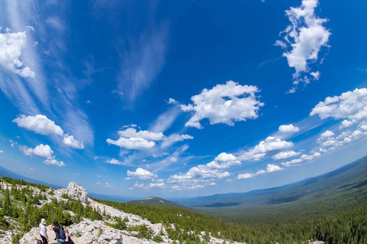 , Алексей Середенин