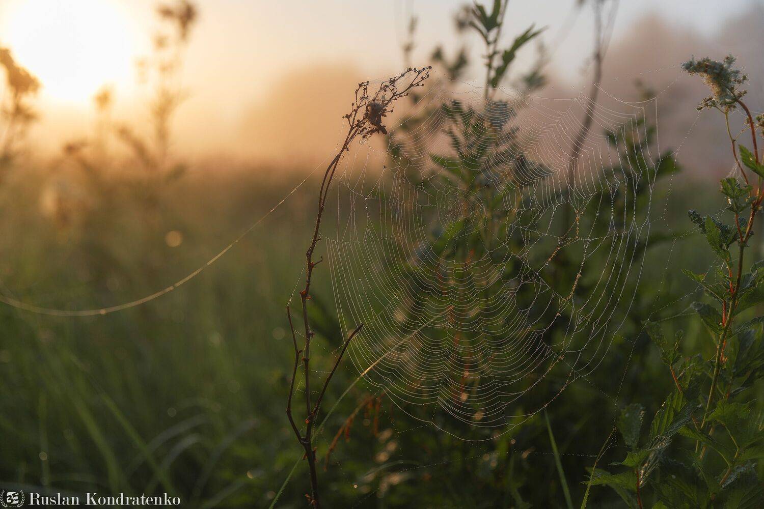 река, рассвет, лемовжа, закат, Кондратенко Руслан