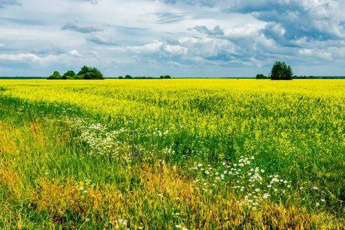 Нам тучи грозовые не помеха