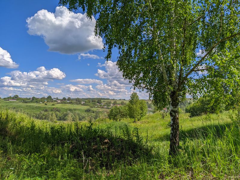 фото превью