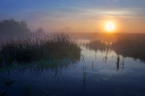 Summer dawn in the mist
