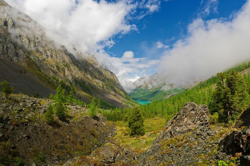 Обернитесь! фото превью