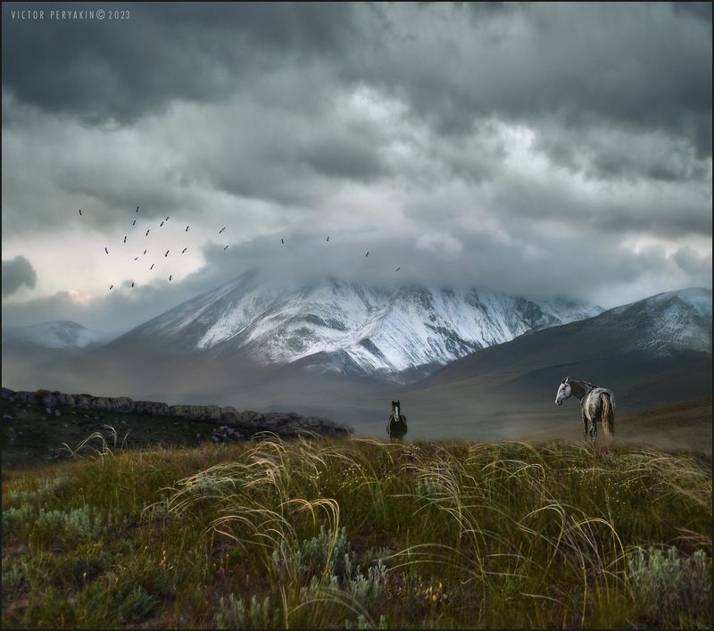 Журавли летят в Китай... фото превью