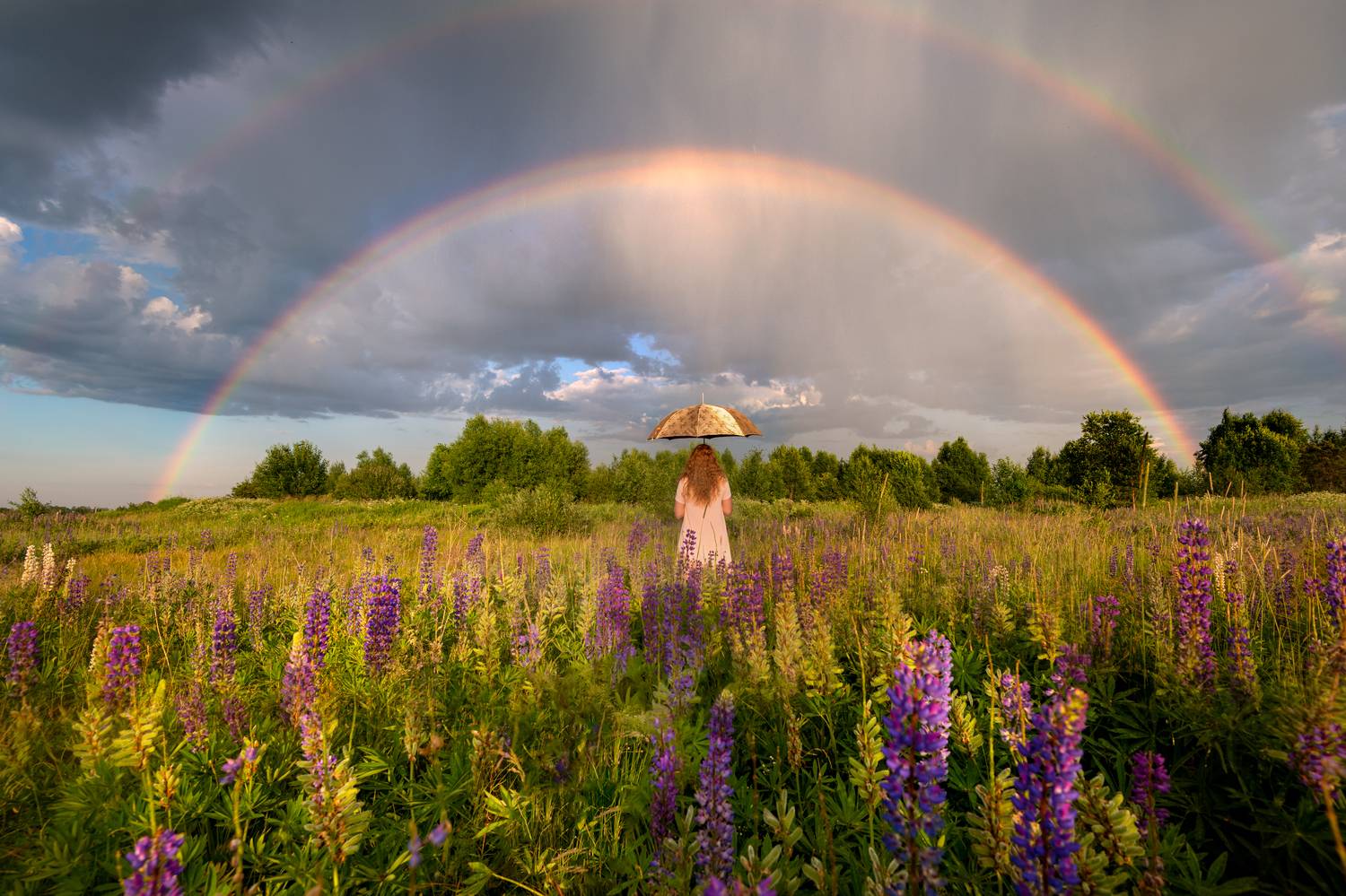 , Эдуард Гордеев