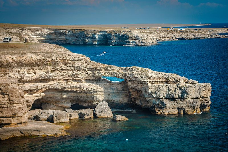 Крокодил фото превью