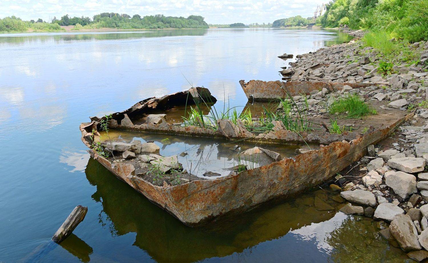 , Меднов Влад