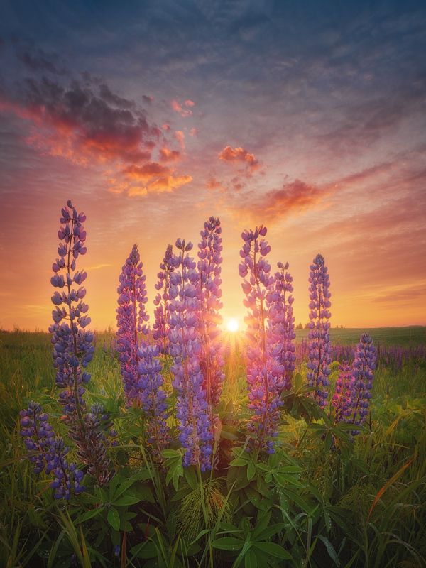 После дождя фото превью