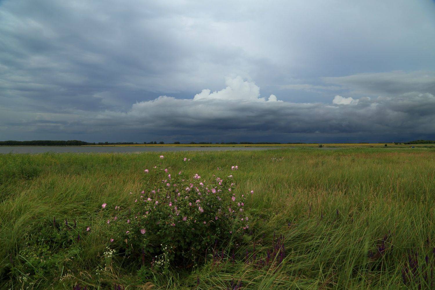 , Евгений Зинов