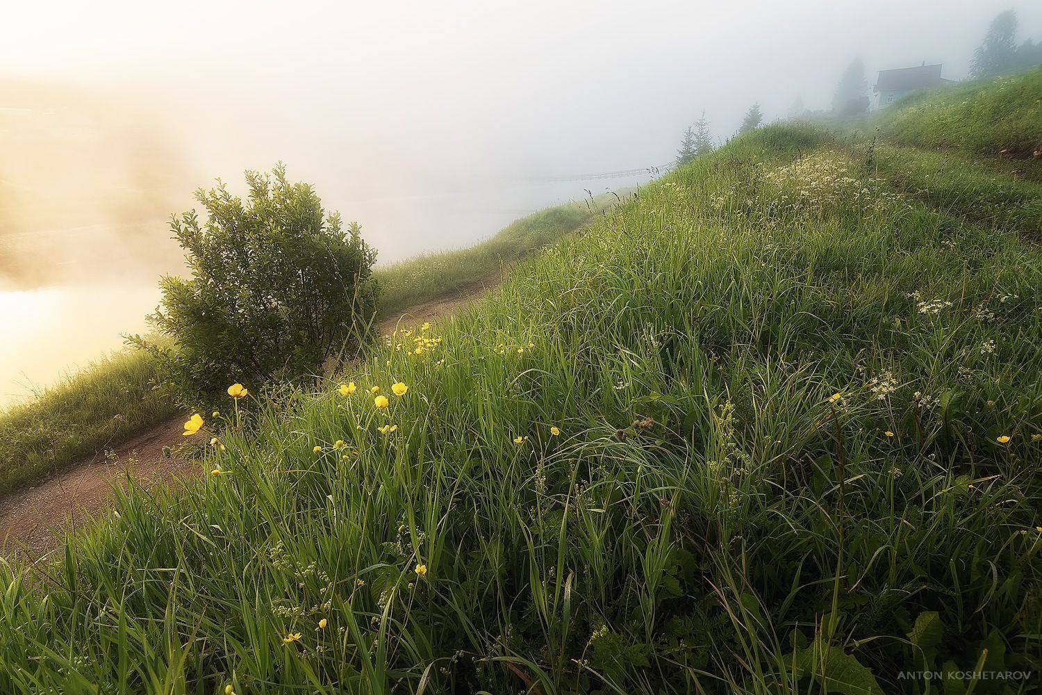 , Антон Кошетаров