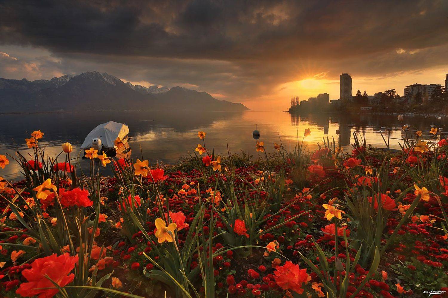 swiss,швейцария,весна,montreux, Николай Матвеев