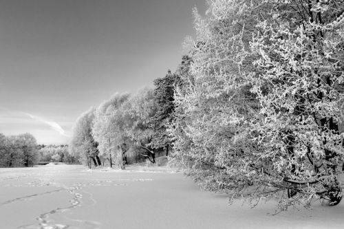 На замерзшем озере