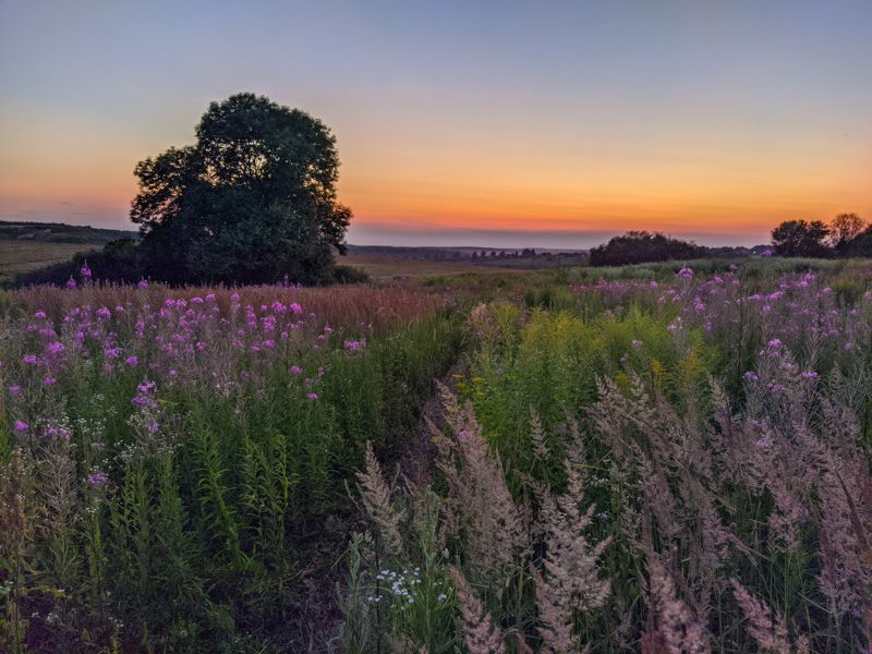 фото превью