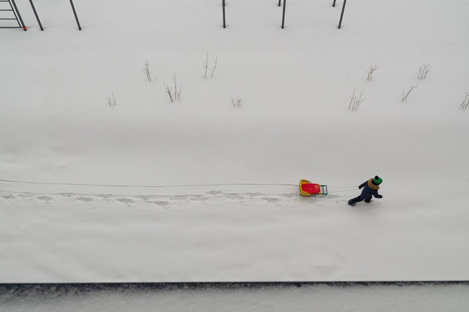 , Евгений Гайдук