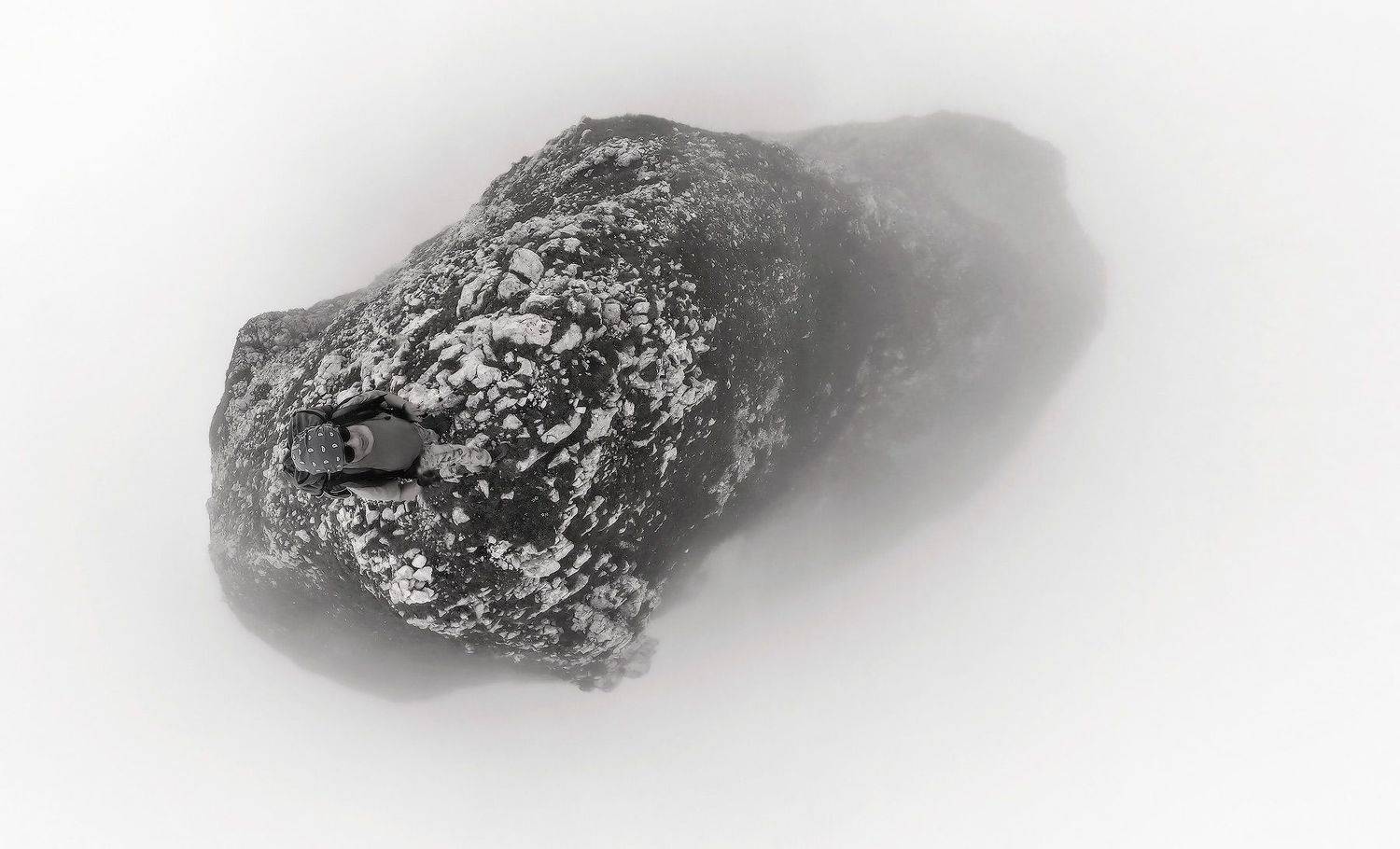 , Пирог Борис