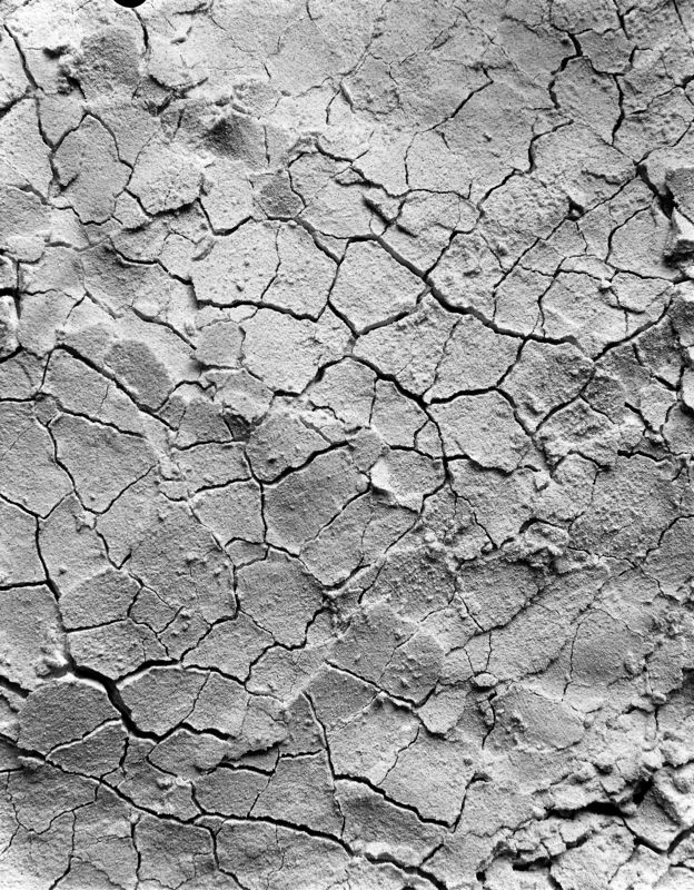 большой формат, 4*5, пленка *** фото превью