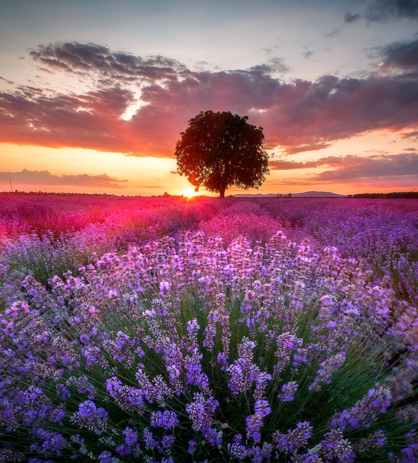 , Mariyana Atanasova - Lucero