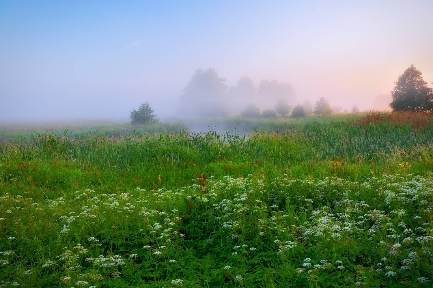 , Руслан Авдевич