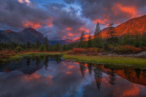 Краски осени...