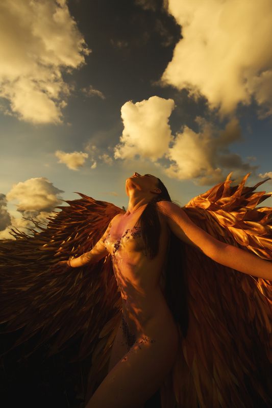 Angel фото превью