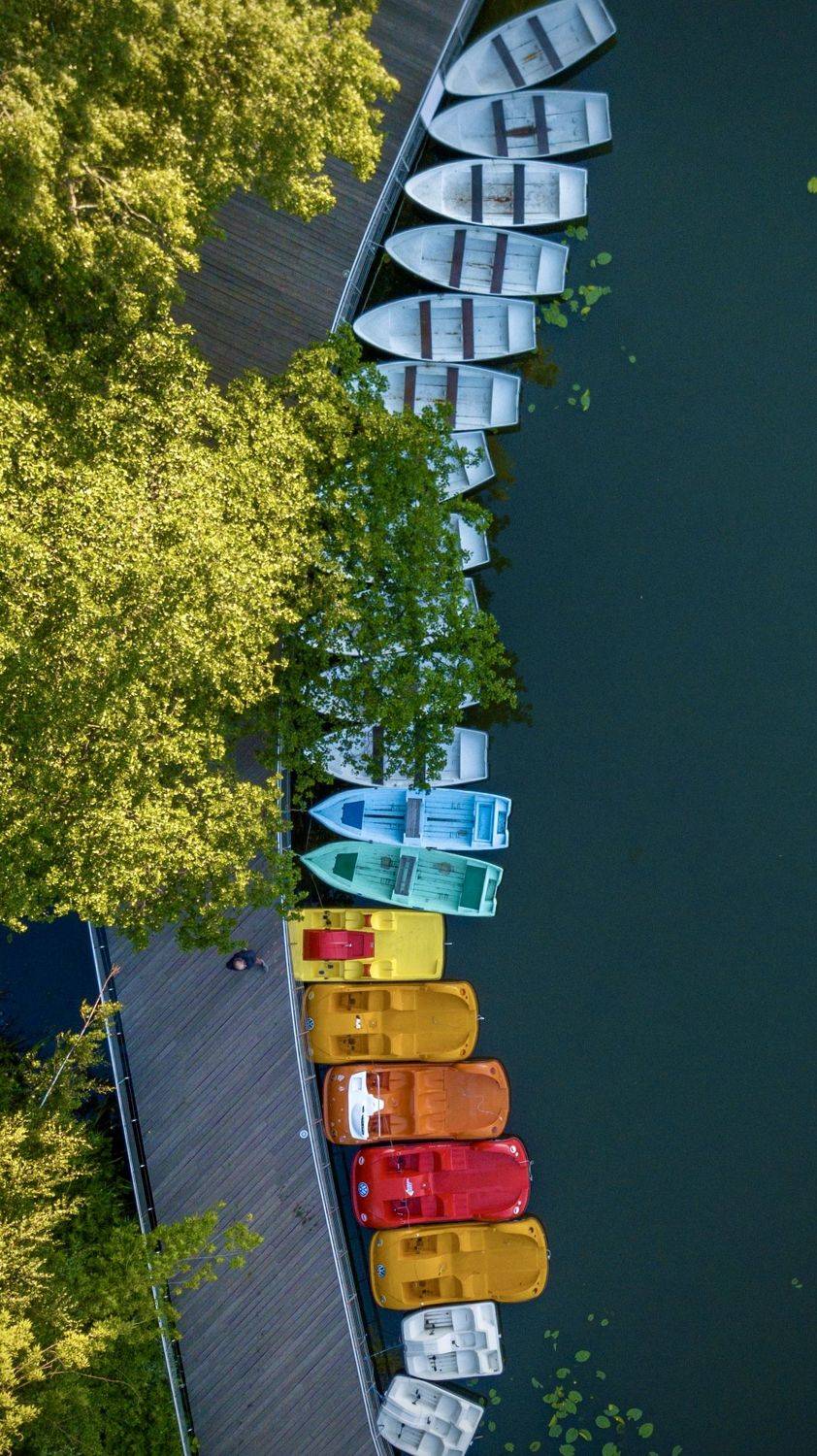 , Сергей Фаренюк