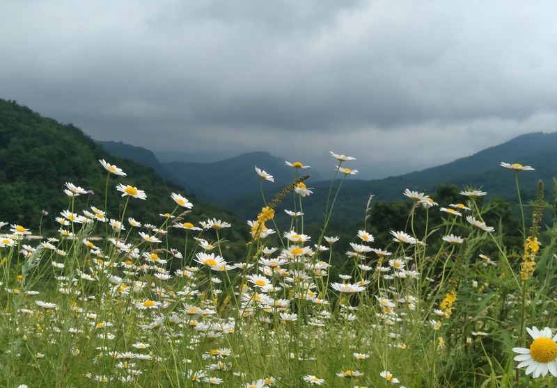 Летный пейзаж.. фото превью