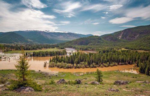 Июньский паводок....