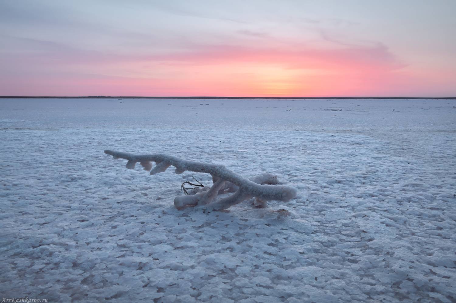 калмыкия, розовые озера, степь, простор, равнина, солончак, соль, меклетинский заказник, Арсений Кашкаров