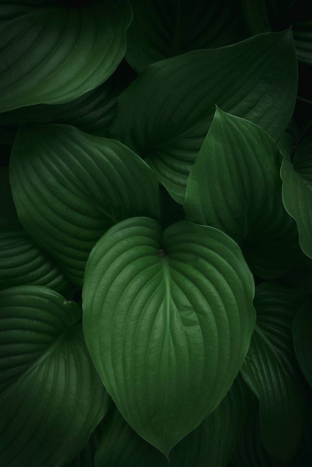 , Захаров Дмитрий