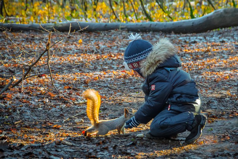 Общий язык найден фото превью