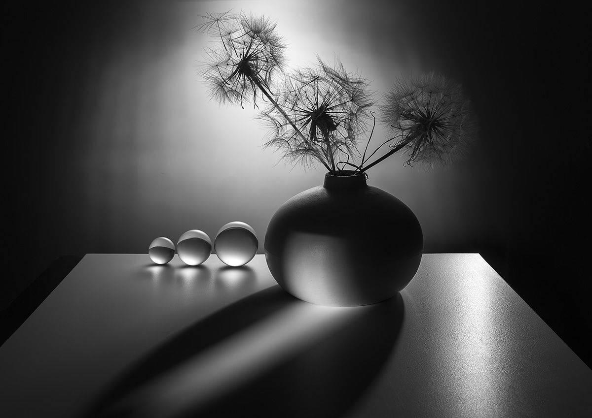 , Евгений Попов