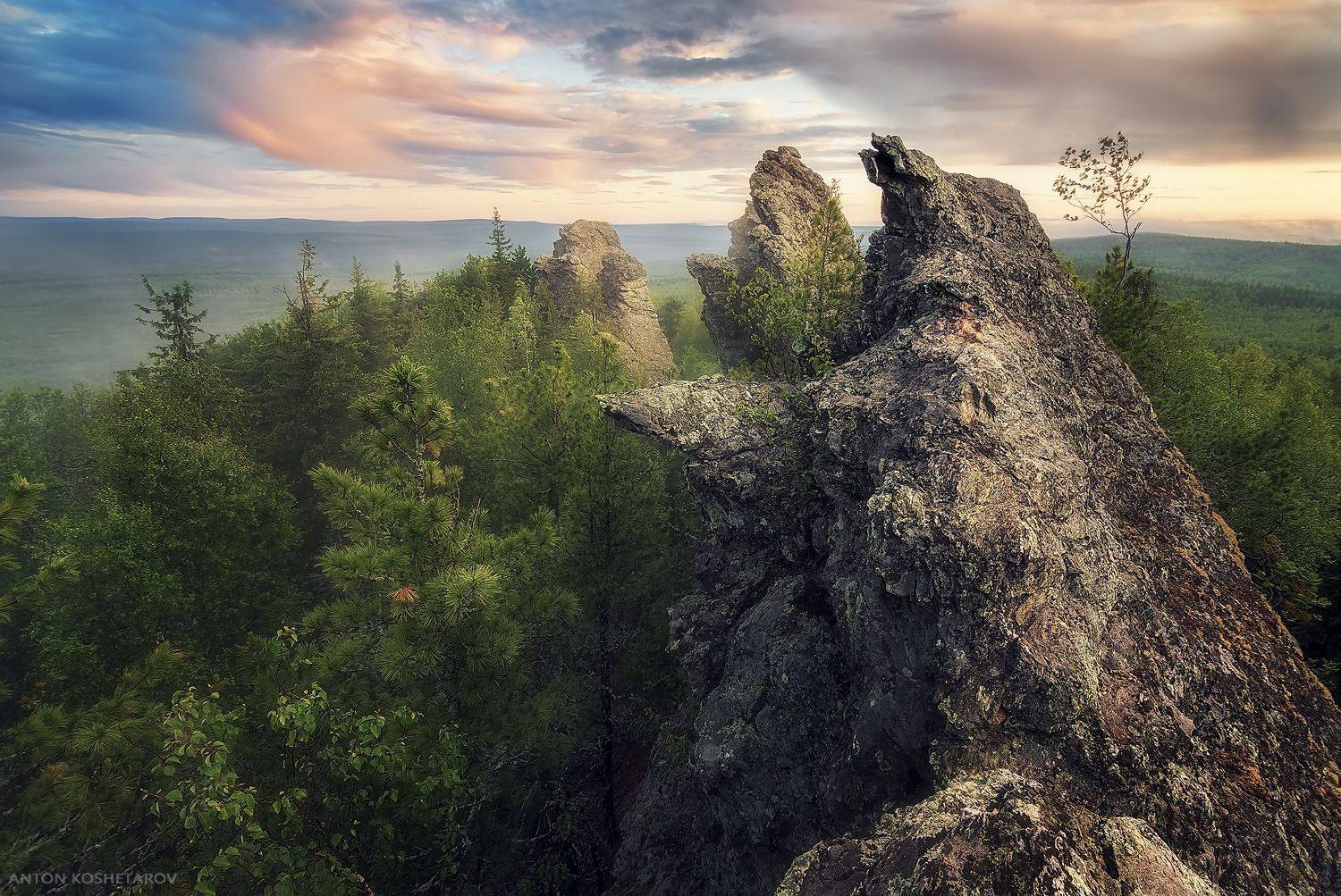 , Антон Кошетаров