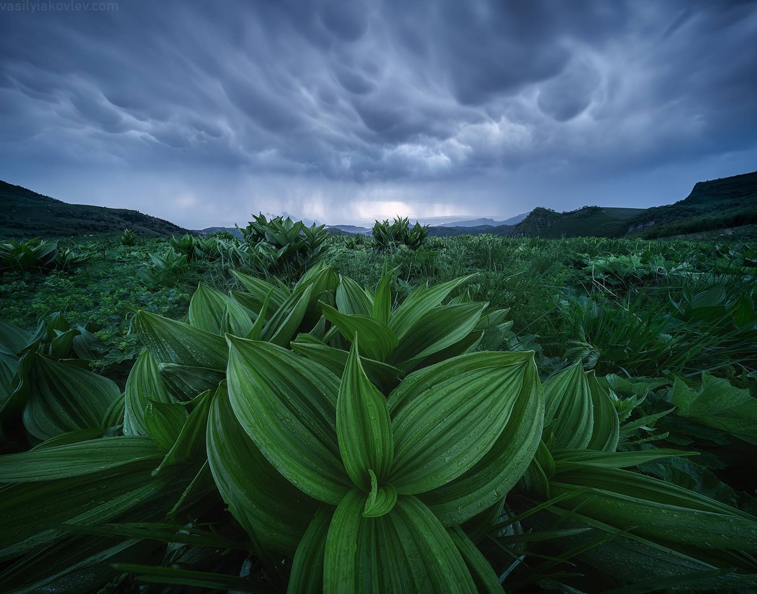 тхач, большой тхач, фототур, яковлевфототур, кавказ, адыгея, Василий Яковлев