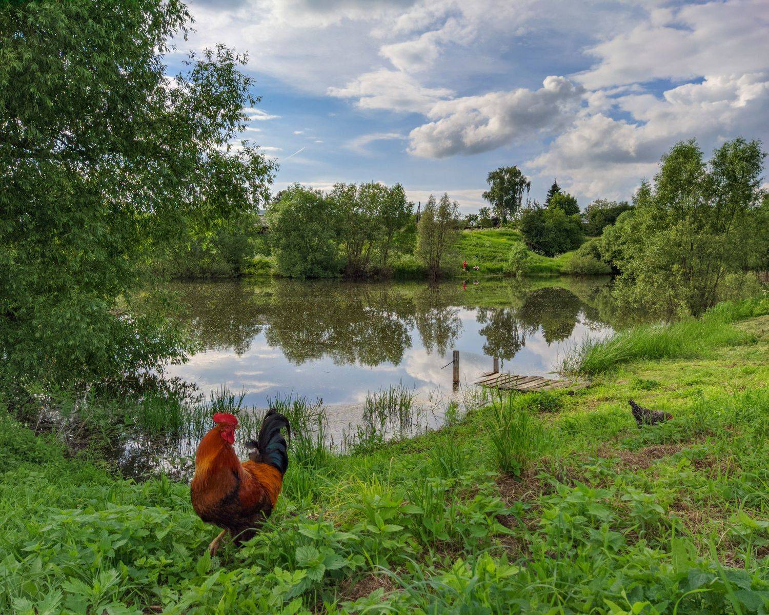 , Светлана Кондрашова