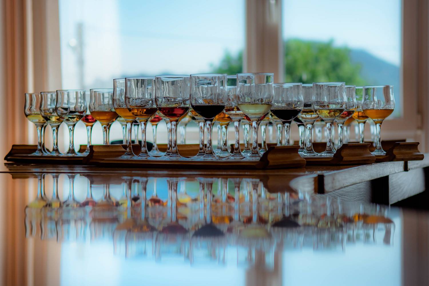 , Алексей Ильин