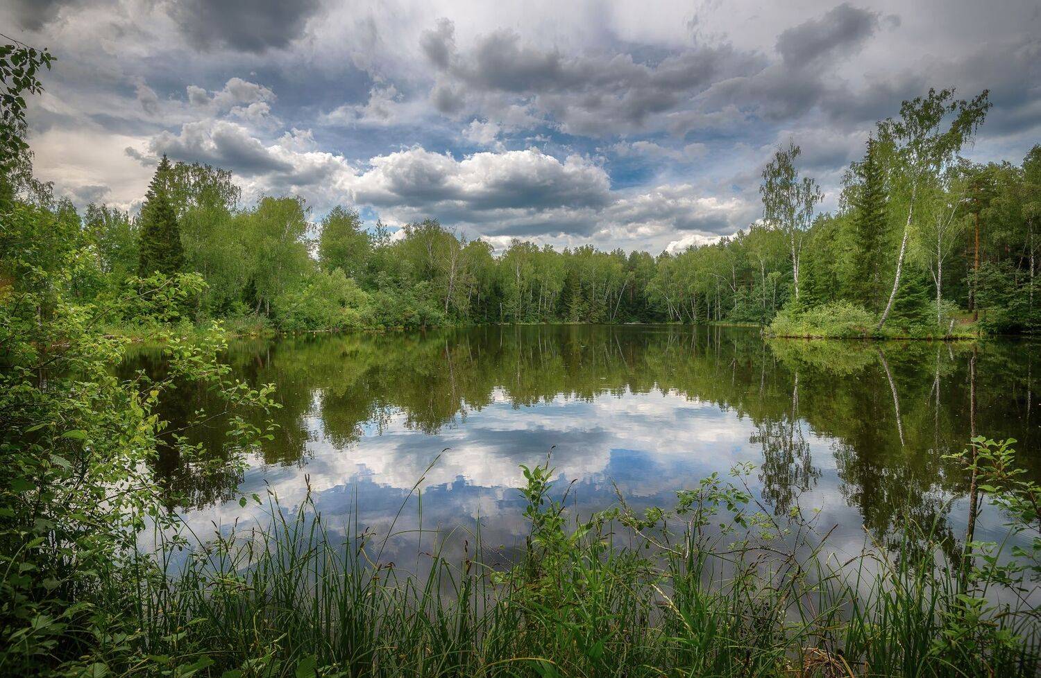 лето, лес, озеро, июнь, Сергей Аникин