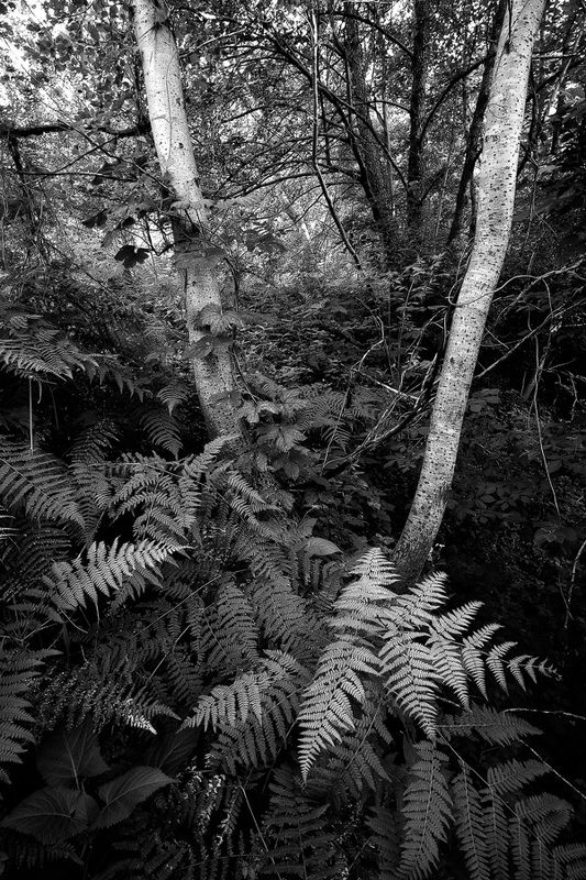 2023 фото превью