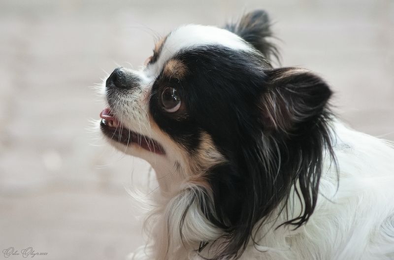 Верю... фото превью