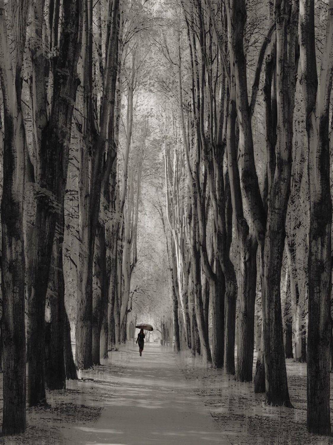 , Тришин Виктор