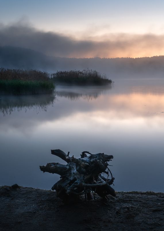 Утренние зарисовки…  Morning sketches... фото превью