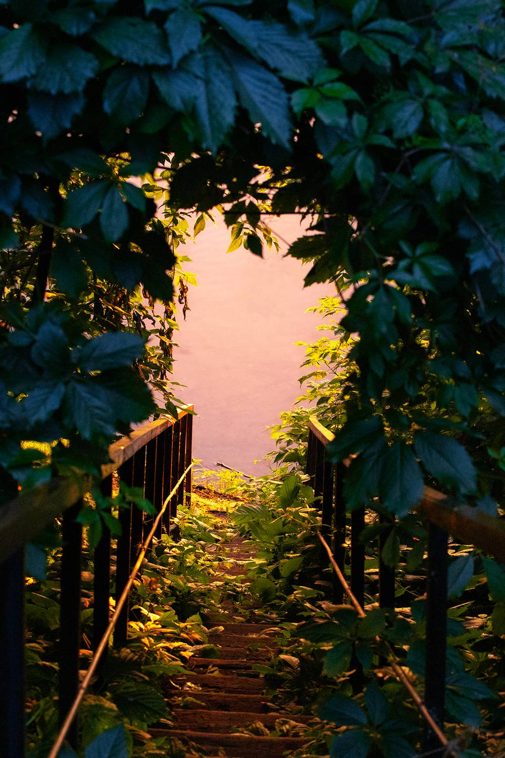 , Чудинин Дмитрий