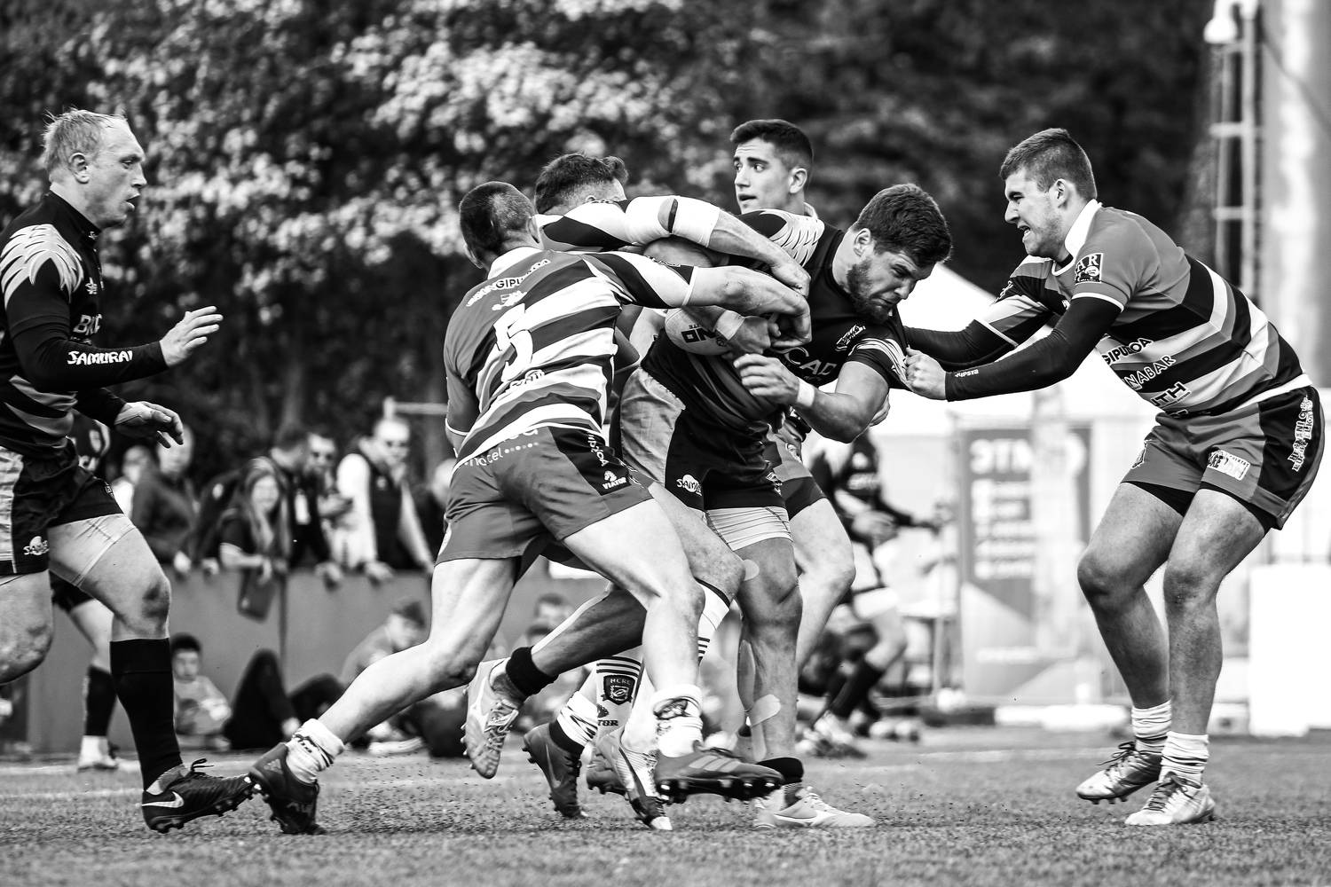 регби, спорт, чб, Komlev Sergei