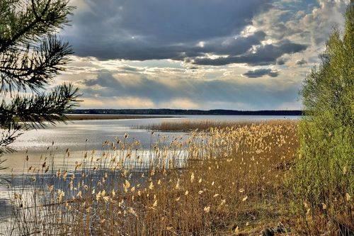 Пригревает